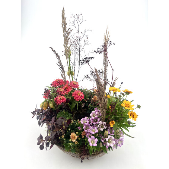 Kurs Herbstkranz gepflanzt Mi 22.10.2025