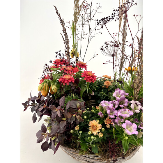 Kurs Herbstkranz gepflanzt Mi 22.10.2025