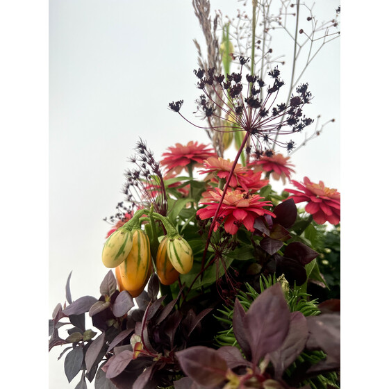 Kurs Herbstkranz gepflanzt Mi 22.10.2025