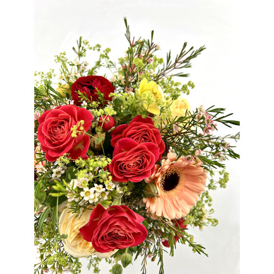 Sch�n, dass es dich gibt!