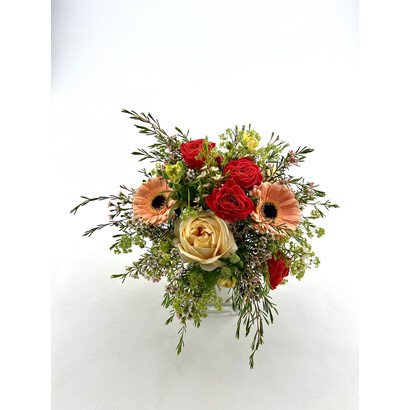 Sch�n, dass es dich gibt!